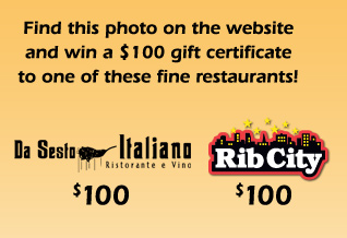 Win an $100 restaurant gift certificate to a Tampa Bay Florida restaurant